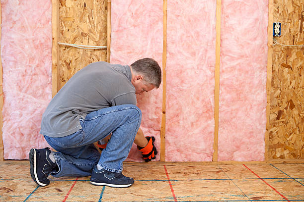 Best Residential Insulation in Lake Forest, IL